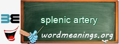 WordMeaning blackboard for splenic artery